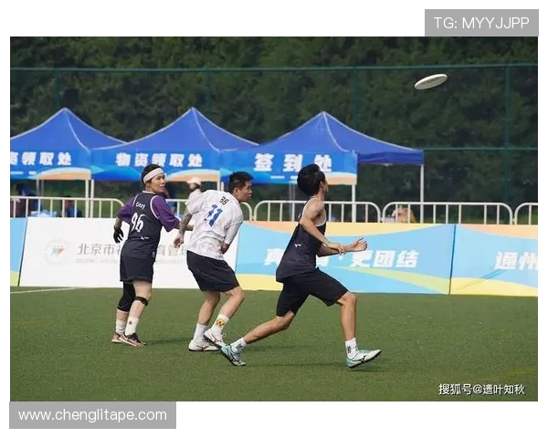 广州飞盘队耐力提升之路引发热议与关注