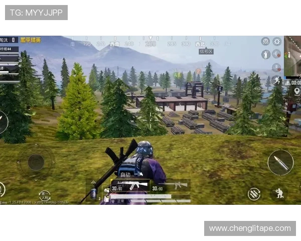 李秀英的和平精英人生：深度对话探索游戏背后的故事与人生哲学